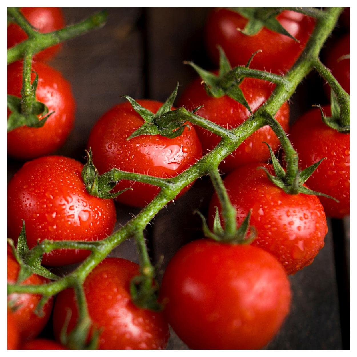 Everwilde Farms - 1 Oz Premium Large Red Cherry Tomato Seeds - Gold Vault Pack - Perfect for Home Gardening, Organic Farming & Fresh Salad Ingredients