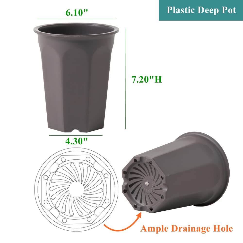 BangQiao 8 Pack 6.10 Inch Plastic Deep Nursery Pots - Round Seed Starter Planters for Seedlings & Transplanting (Gray) - Ideal for Indoor Gardening, Greenhouses & Home Plant Propagation