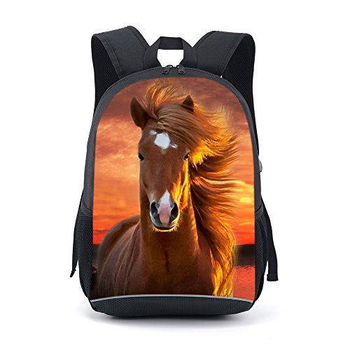 Steed 1
