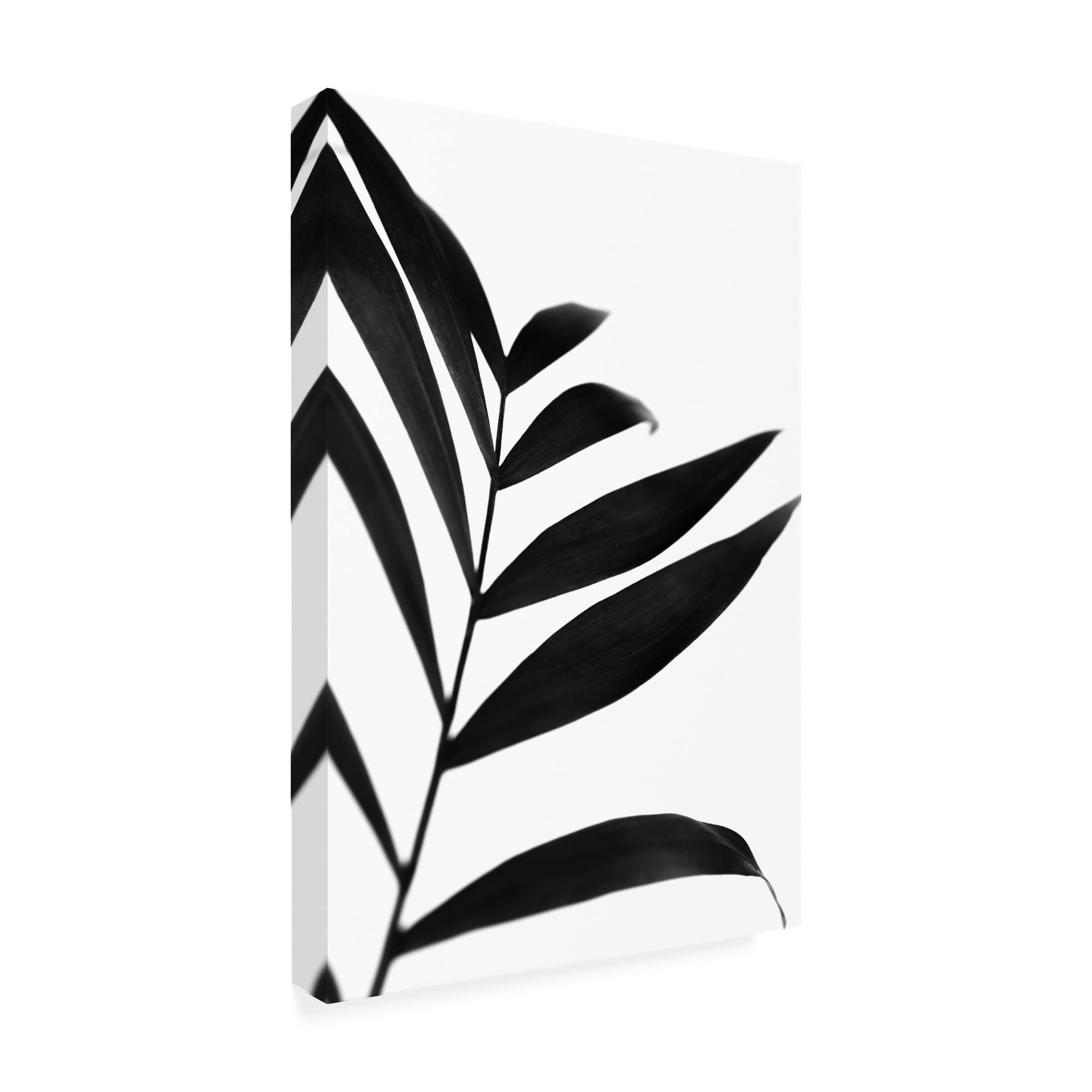 Renee W Stramel 'Black Palms IV' Canvas Wall Art Print - Tropical Palm Tree Decor for Living Room, Bedroom & Office - Modern Home & Office Decor