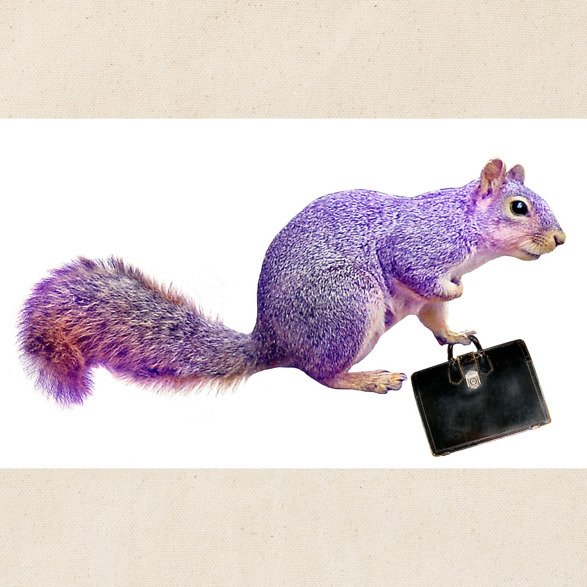 Purple Squirrel Canvas Tote Bag - Eco-Friendly Reusable Shopping Bag for Groceries, Beach & Daily Use | Natural Cotton Carryall by CafePress