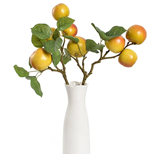 2pcs Apple Branches