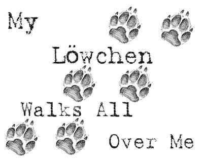 Cahoon's Closet My Lowchen Walks All Over Me Funny Dog Lover T-Shirt - Cute Pet Owner Gift for Dog Walking & Casual Wear