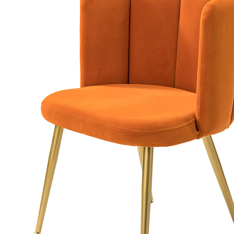 Elodia Side Chair - Modern Accent Chair for Dining Room, Living Room & Office - Sturdy Wooden Frame with Upholstered Seat - Perfect for Home Decor & Small Spaces