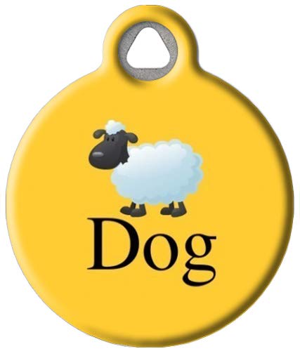 Sheep Dog Breed