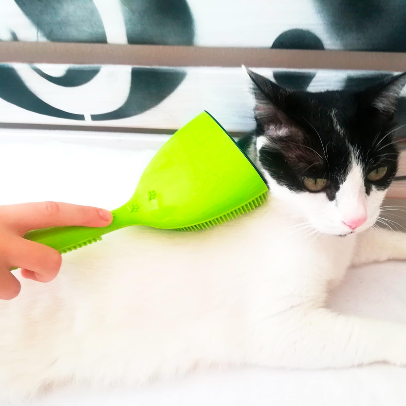 Michel Mercier Pet Detangling Brush for Dogs & Cats - Fine & Normal Fur Grooming Brush for Detangling, Deshedding & Shedding Control - Perfect for Daily Pet Care at Home or Professional Grooming Sessions