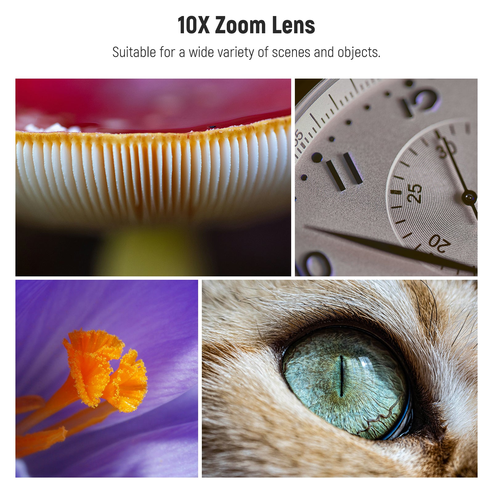 NEEWER LS 28 PRO 10X Macro Lens with 17mm Thread - Smartphone Camera Lens Clip & Diffuser for iPhone, Samsung, Pixel - Perfect for Close-Up Photography, Jewelry, Insects, and Product Shots
