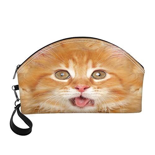 3d Orange Cat 2