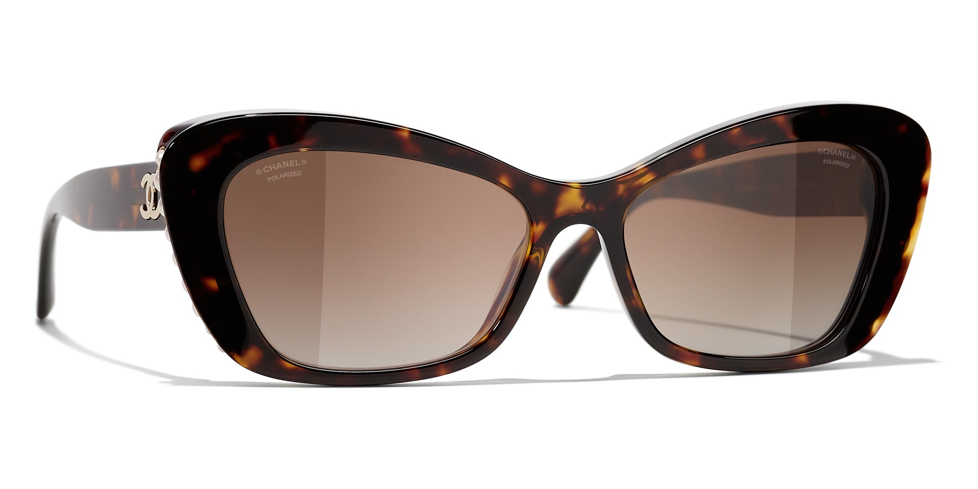 Dark Tortoise/Polarised Brown Gradient