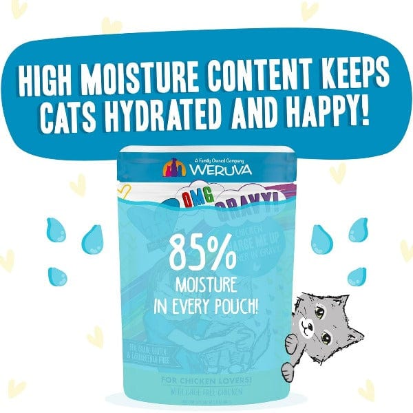 B.F.F. Charge Me Up Chicken Dinner in Gravy Pouch Cat Food - 12 Pack, Grain-Free Wet Cat Food for Adult Cats | Perfect for Mealtime, Travel & Emergency Kits