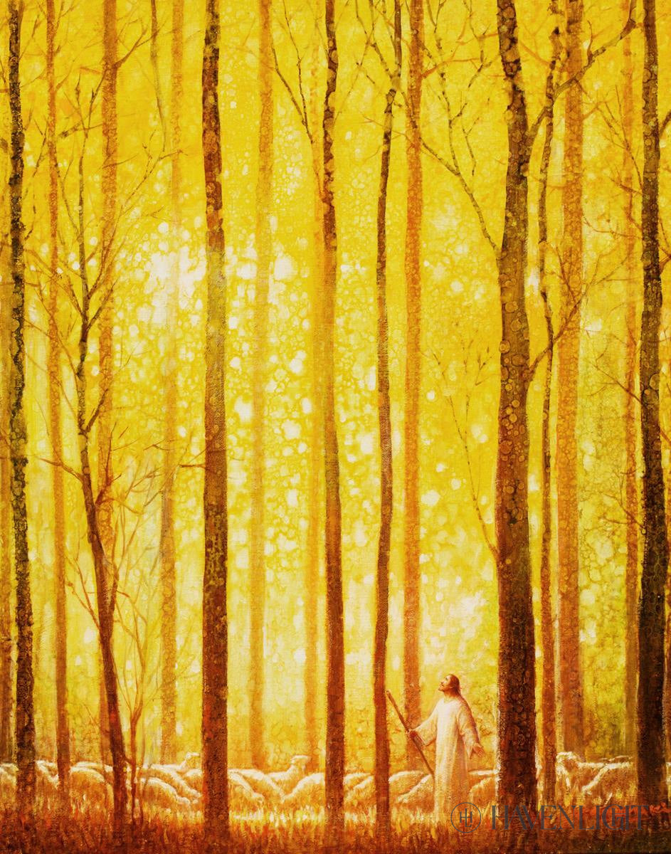 Wonder by Yongsung Kim - Inspirational Christian Art Print for Home & Office Decor - Perfect for Living Rooms, Bedrooms, and Church Spaces