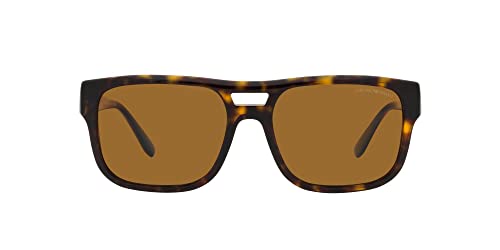 Havana/Brown Polarized