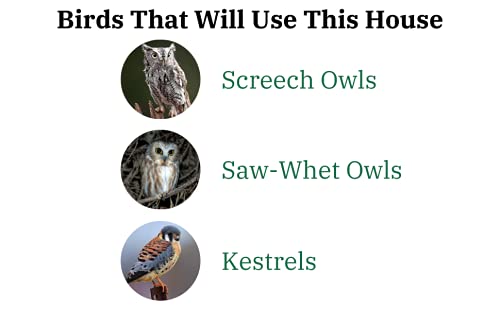 JC's Wildlife Green & Tan Ultimate Poly Screech Owl Nesting Box - Durable Owl House for Screech Owls, Saw-Whet Owls & Kestrels - Easy-Clean Design with Access Door - Perfect for Backyard Birdwatching & Wildlife Conservation