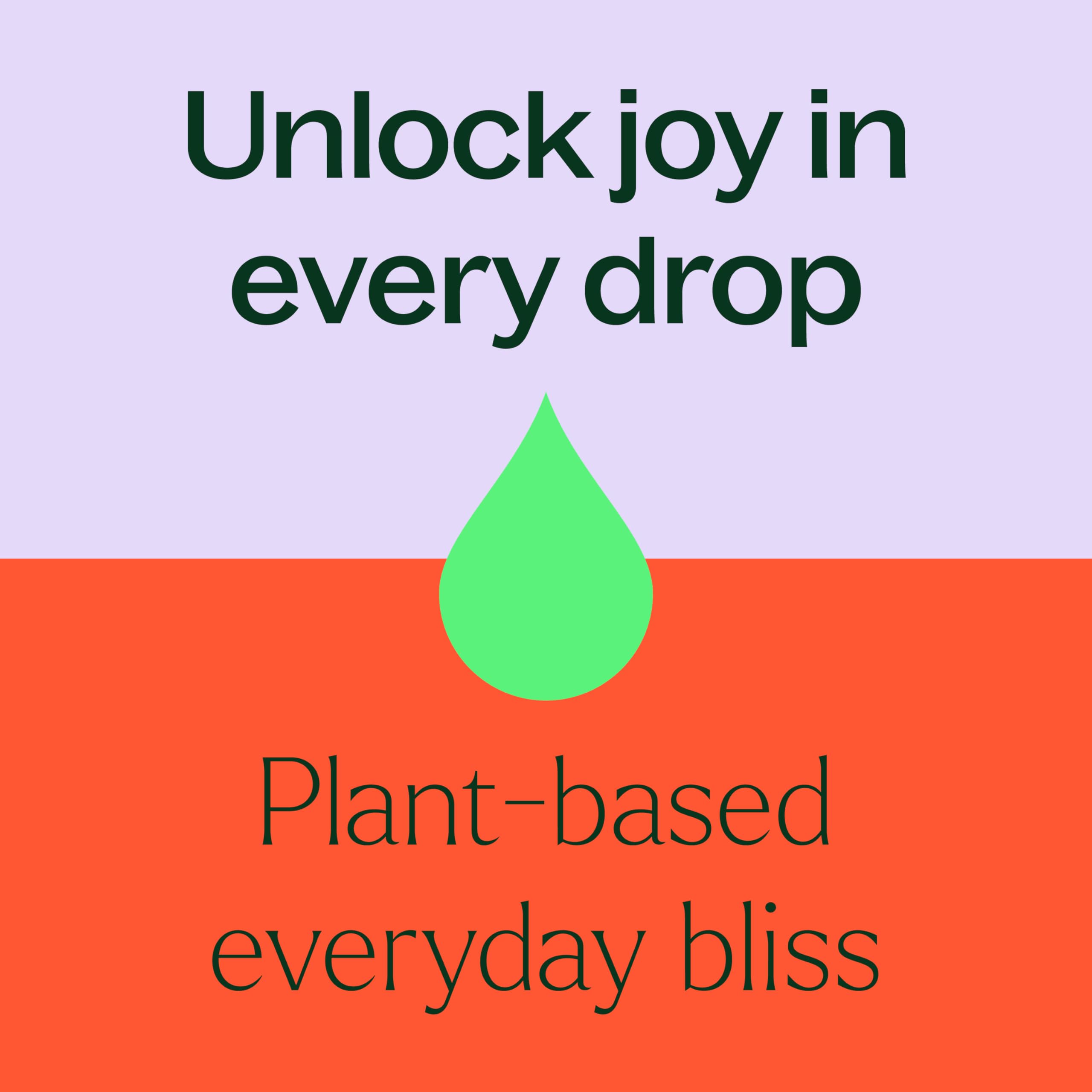 Plant Therapy Top 14 Organic Essential Oil Singles Set - 100% Pure, Undiluted Natural Aromatherapy Oils for Diffusers & Body Care - 10mL (1/3 oz) Each - Perfect for Relaxation, Stress Relief & Home Fragrance