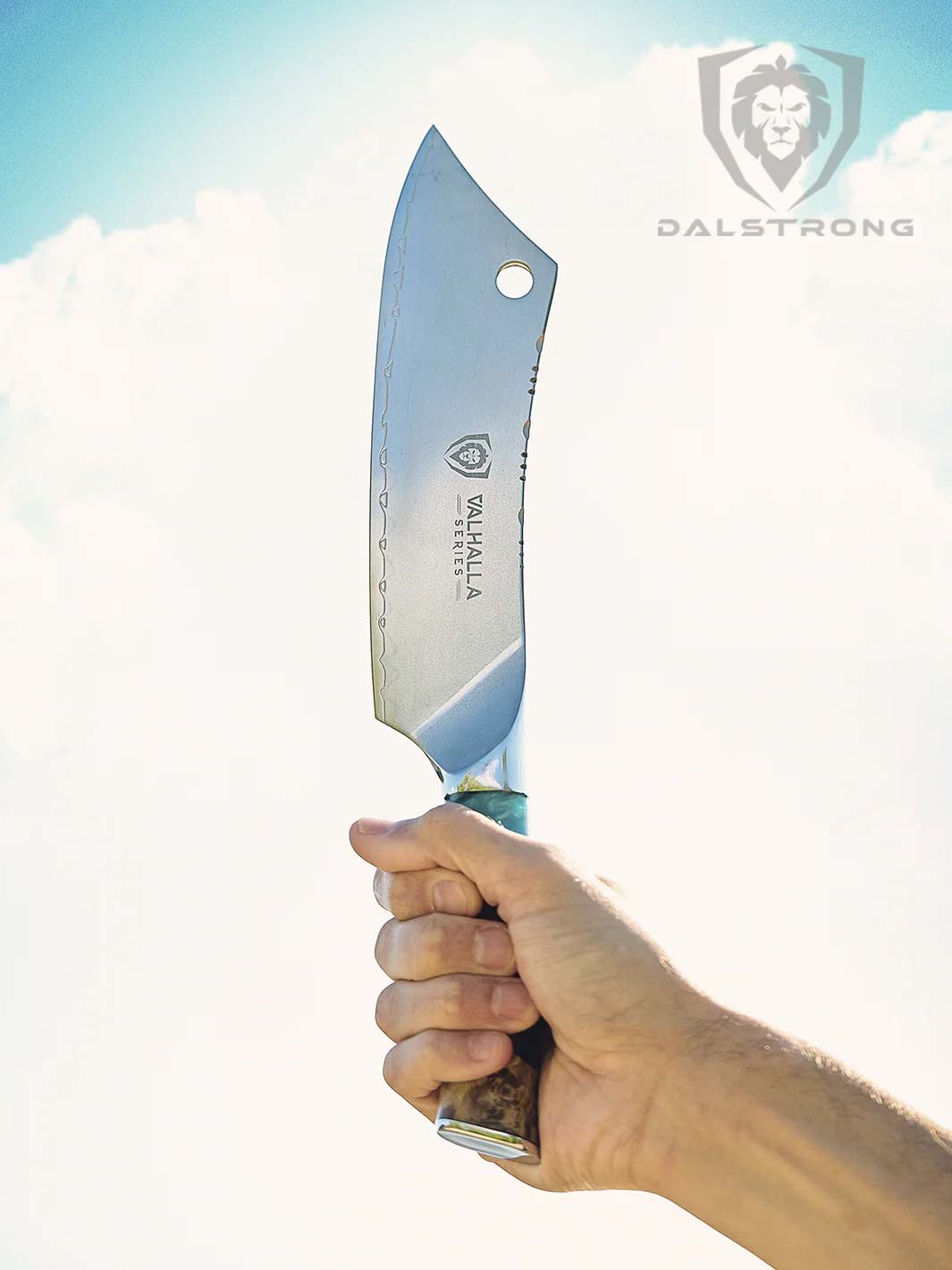 Dalstrong Valhalla Series Crixus 8