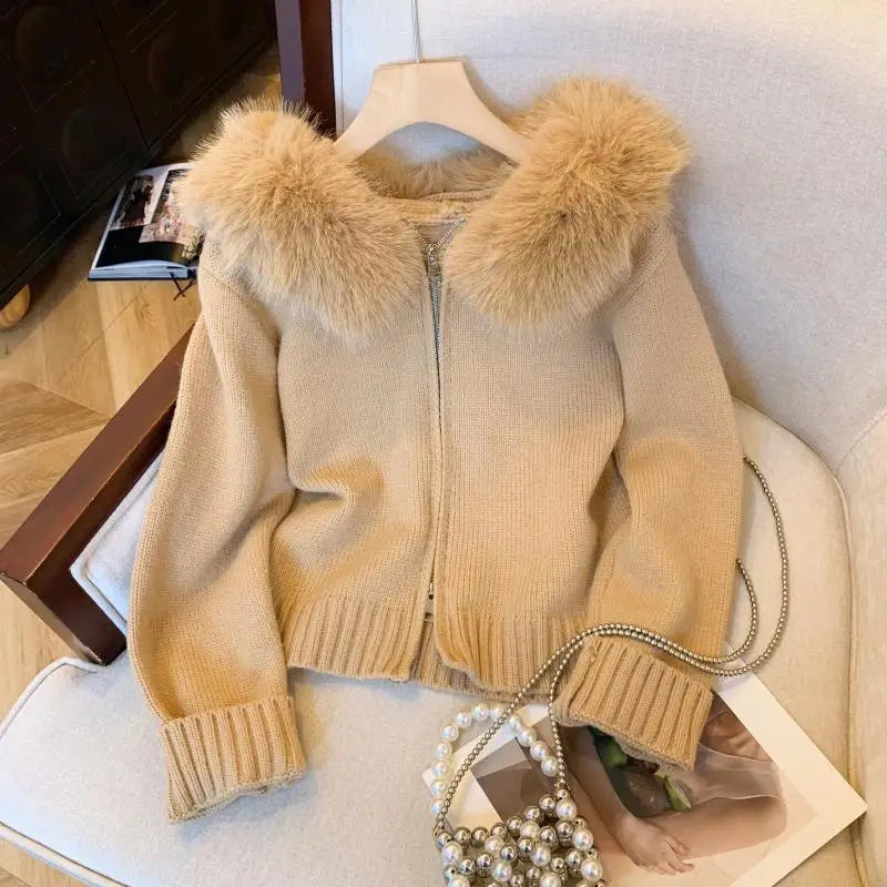 Women's Plush Hoodie Cardigan - Korean Fashion Winter Sweater with Zipper | Soft Cotton Knit Coat for Casual Wear & Vacation | Warm Thick Tops for Fall & Winter Seasons