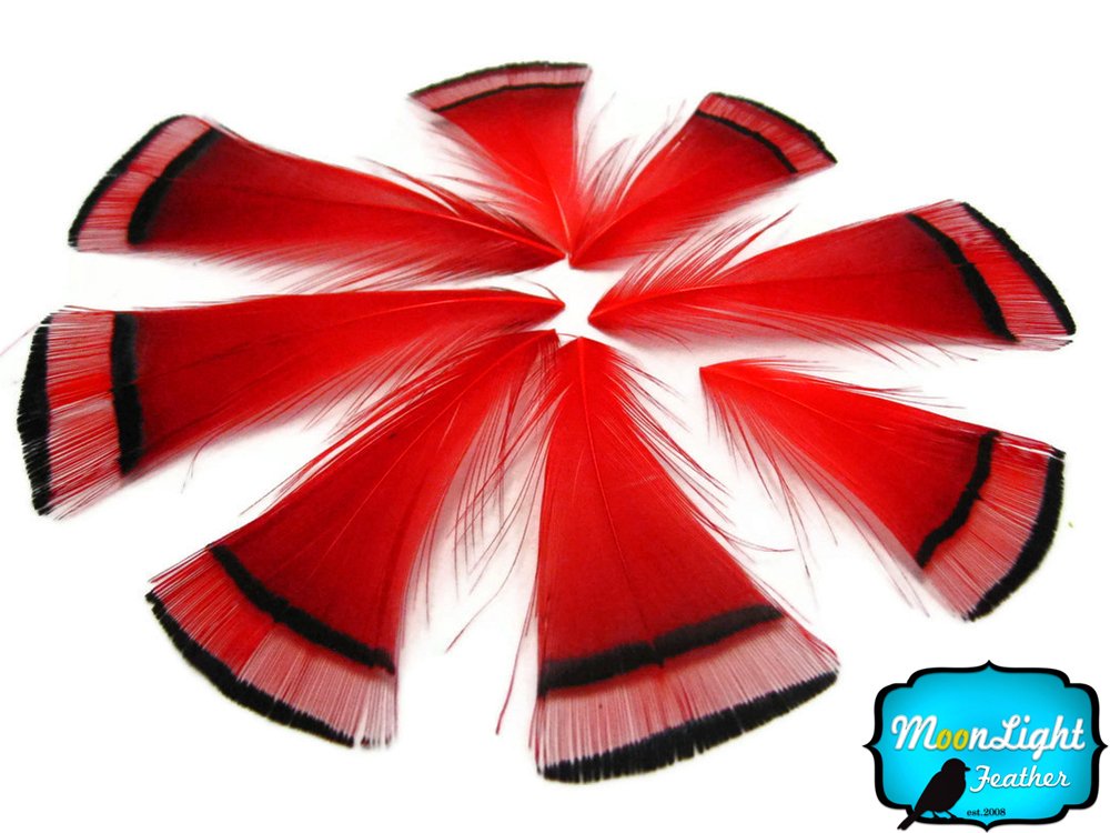 Premium Red Golden Pheasant Feathers - 12 Pack | Natural Craft Feathers for DIY, Fly Tying, Costumes & Home Decor | Perfect for Wedding Bouquets, Dreamcatchers & Bohemian Decorations