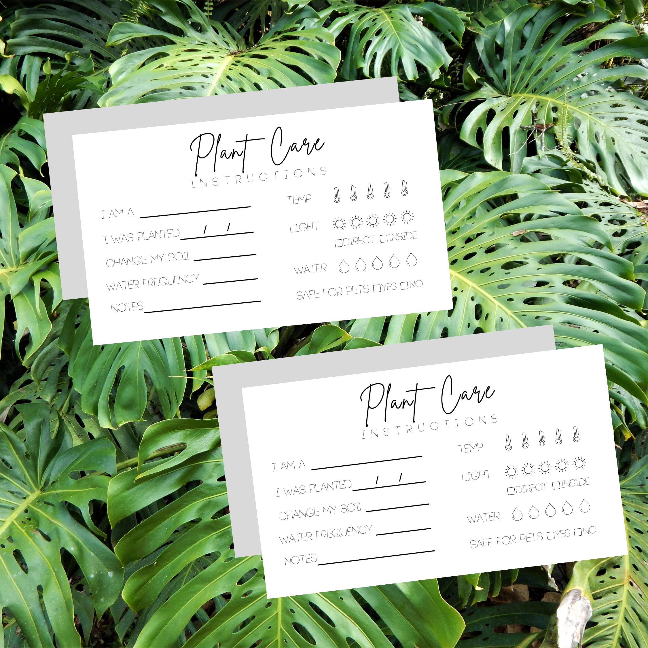 Plant Care Cards - 2