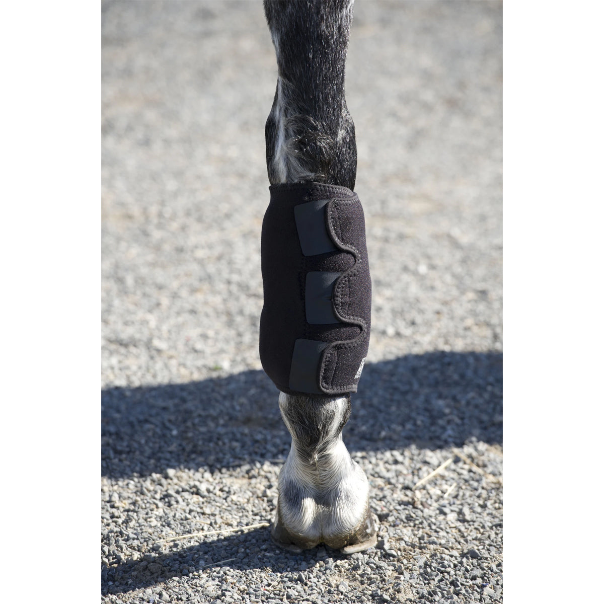 Ice Horse Tendon Wrap - Support & Relief for Joint Pain - Perfect for Sports, Workouts & Daily Comfort
