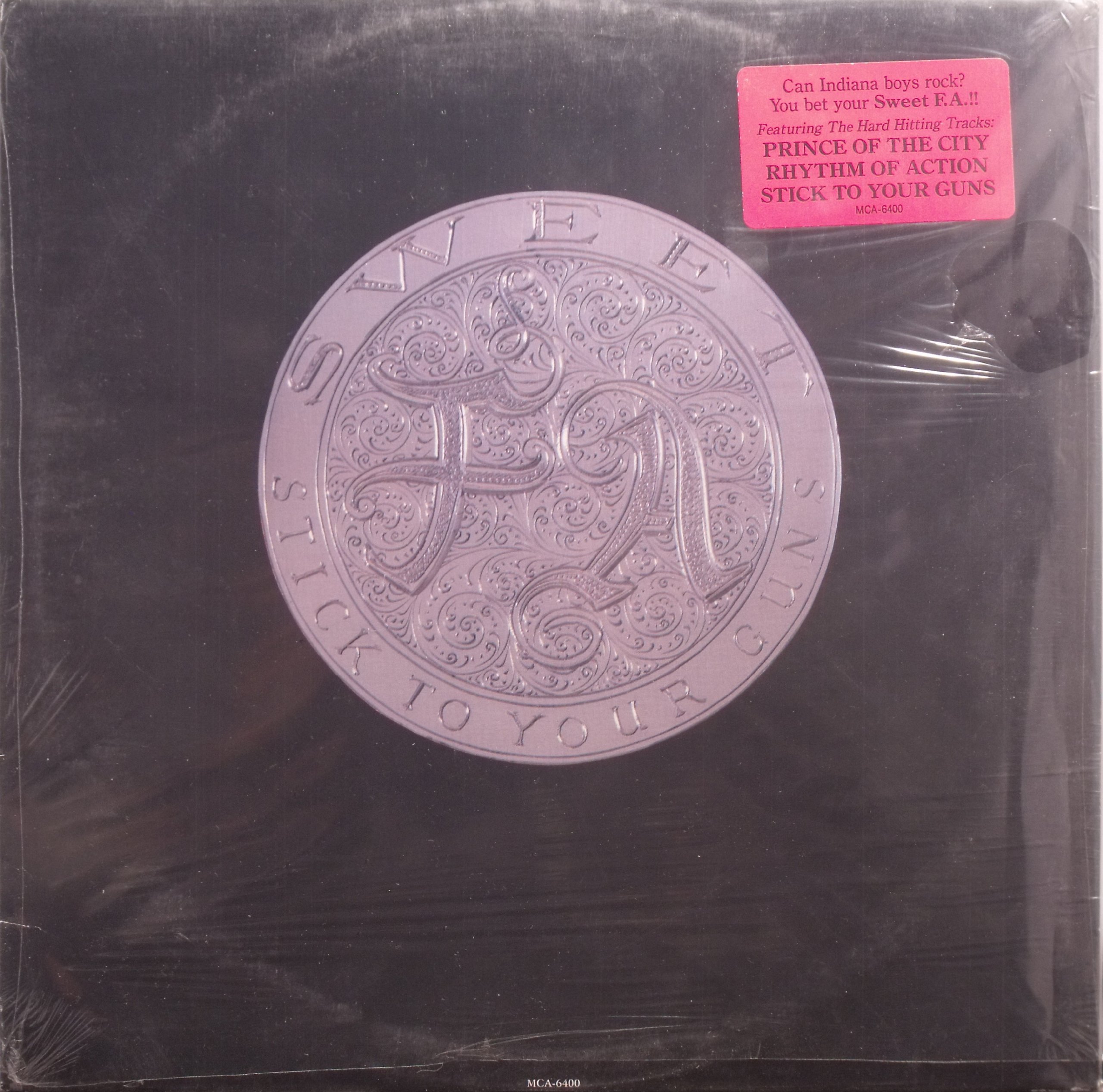 Stick to Your Guns Vinyl Record - Punk Rock Music Album for Collectors & Music Lovers | Perfect for Home Listening & Gifts