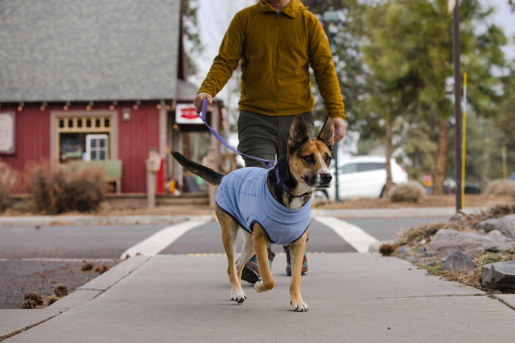 Ruffwear Hemp Hound Dog Sweater - Heliotrope Purple Knit Pullover for Small & Medium Dogs - Warm & Stylish Winter Apparel for Outdoor Adventures & Indoor Comfort