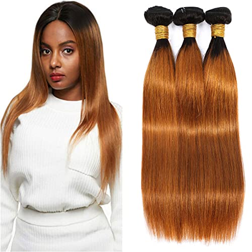 Ombre Straight Human Hair Extensions 1B/30 Brown Brazilian Hair 3 Bundles 8A Grade 100% Virgin Hair 20 22 24 Inch - Perfect for Daily Styling, Parties & Special Occasions