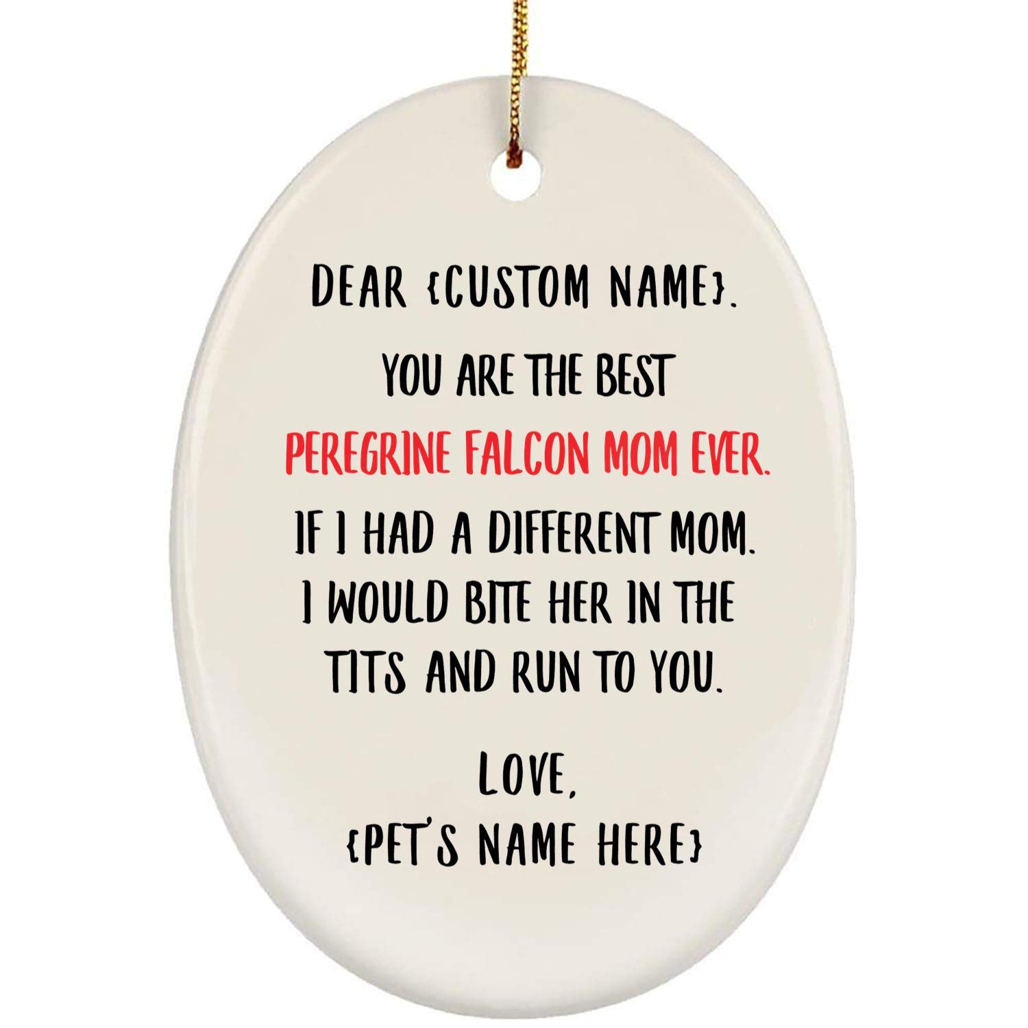 Custom Personalized Peregrine Falcon Pet Mom Gift - Engraved Oval Ceramic Christmas Tree Ornament 2024 | Unique Holiday Decor & Bird Lover Present