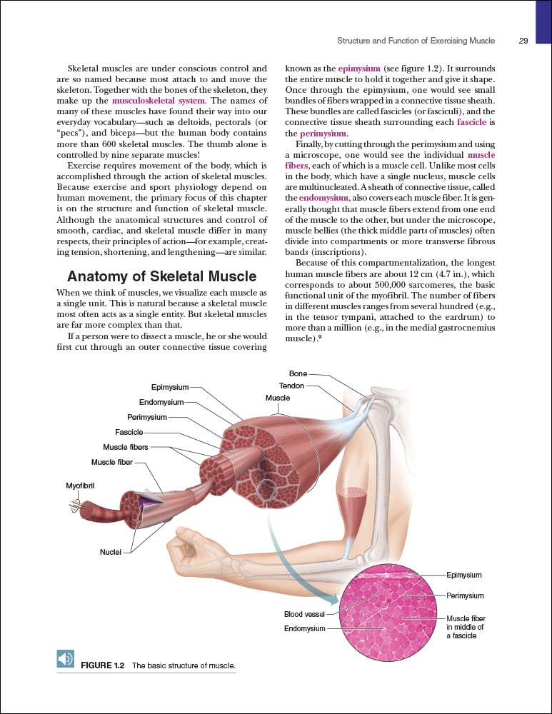 Physiology of Sport and Exercise - Science of Human Performance for Athletes & Fitness Enthusiasts | Training Guide for Running, Cycling & Gym Workouts