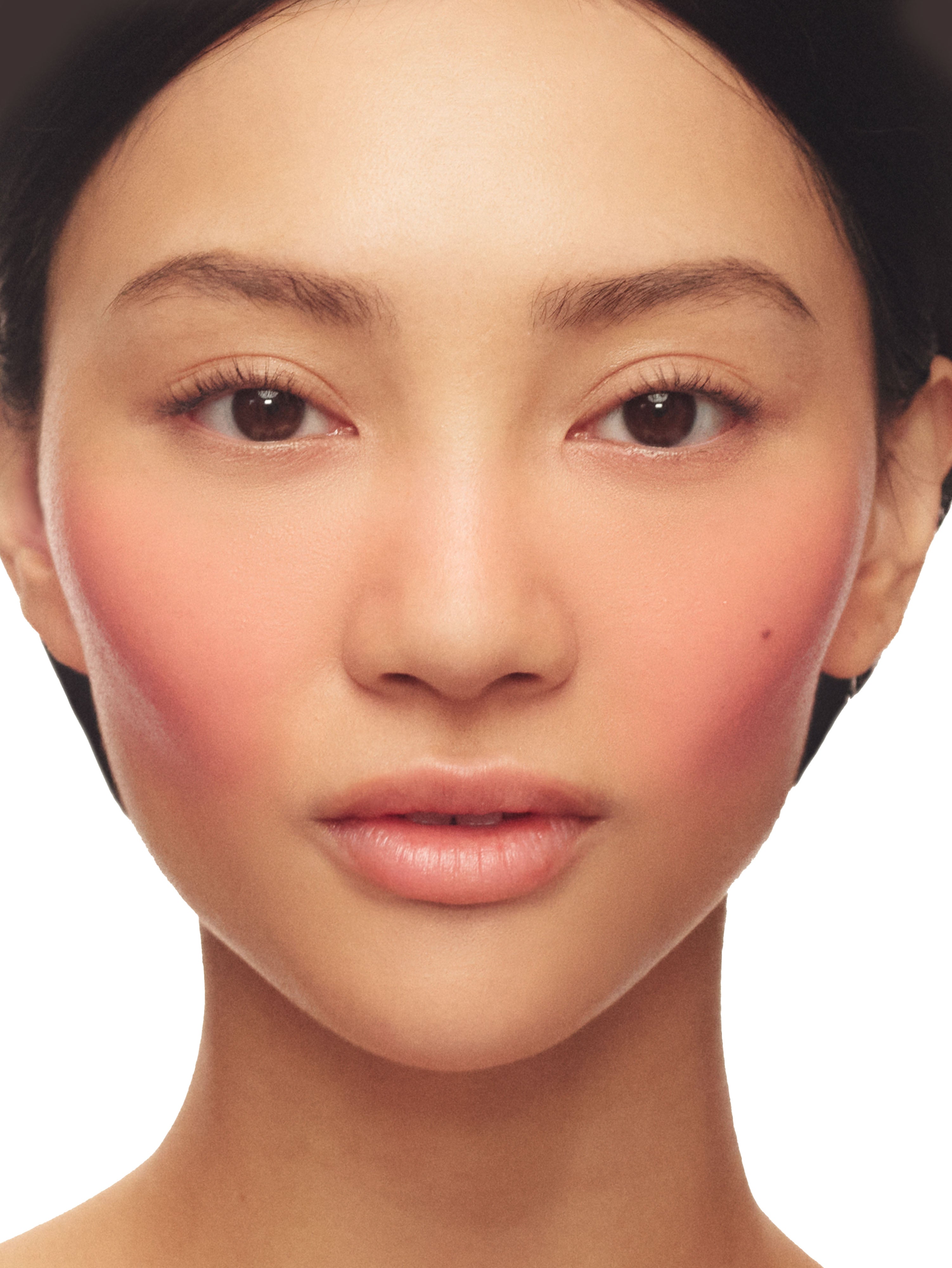 Natural Blush On Makeup Set - Flattering Cheek Color Palette for Daily & Party Wear | Cruelty-Free & Long-Lasting
