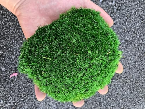 Green-c