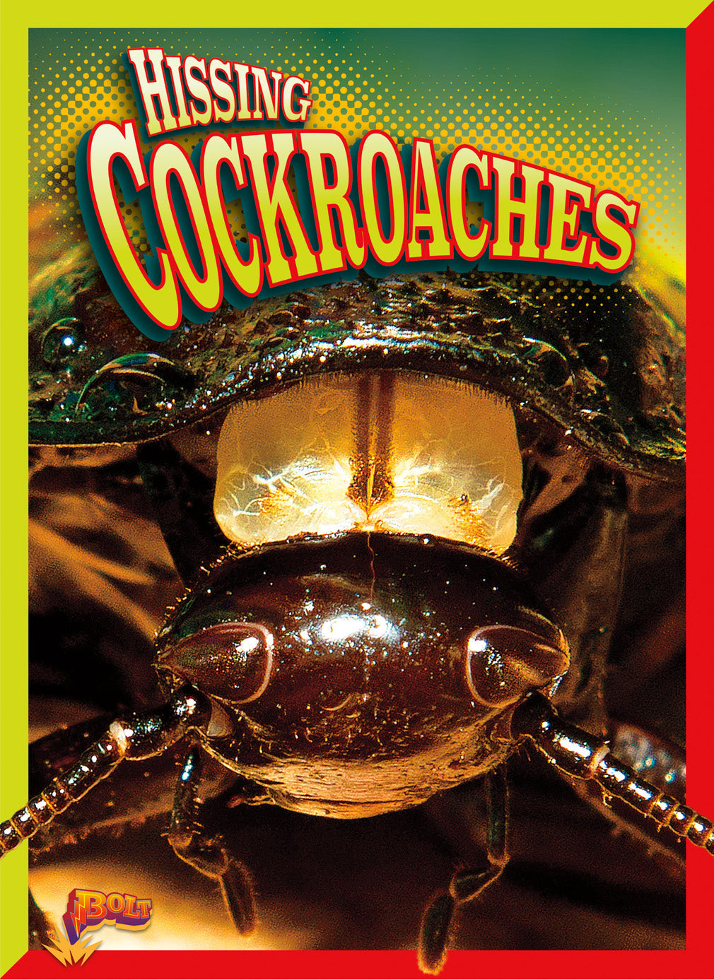 Live Hissing Cockroaches - Madagascar Hissing Roaches for Reptile Food, Science Projects & Exotic Pets | Perfect for Educational Classrooms, Terrarium Feeders & Unique Pet Enthusiasts