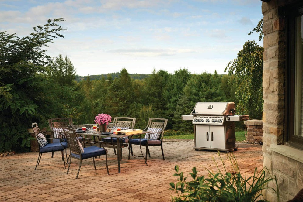 Napoleon Rogue SE 625 RSIB RSE625RSIBPSS 1 - Premium Gas Grill for Outdoor Cooking, Backyard BBQs & Patio Entertaining