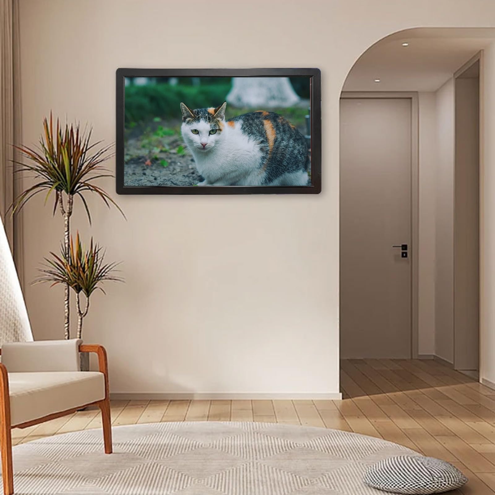 27-inch Digital Photo Frame with HD IPS Screen - WiFi & Auto Power On/Off - Perfect for Home, Office & Advertising (Black, No WiFi)
