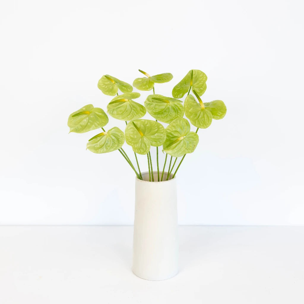 Anthurium Apple Green Tropical Flower - Exotic Live Houseplant for Home & Office Decor - Perfect for Gifts, Weddings, and Indoor Gardening