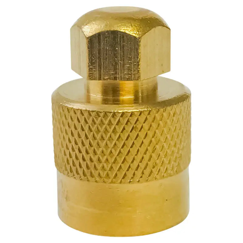 AA Large Bore Hexagonal Top Cap (Each) - Durable & Secure Fastener for Industrial Equipment, Automotive, and DIY Projects