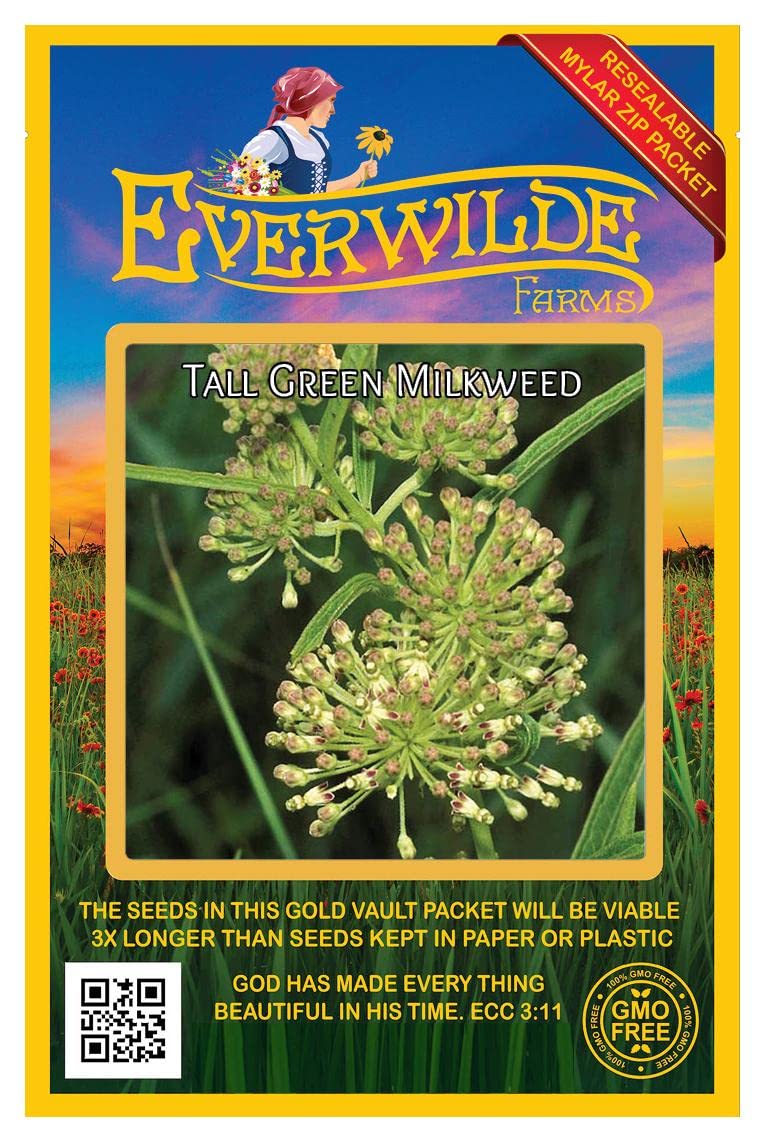 Everwilde Farms - 20 Tall Green Milkweed Native Wildflower Seeds for Monarch Butterflies - Gold Vault Seed Packet - Perfect for Pollinator Gardens & Wildlife Habitats
