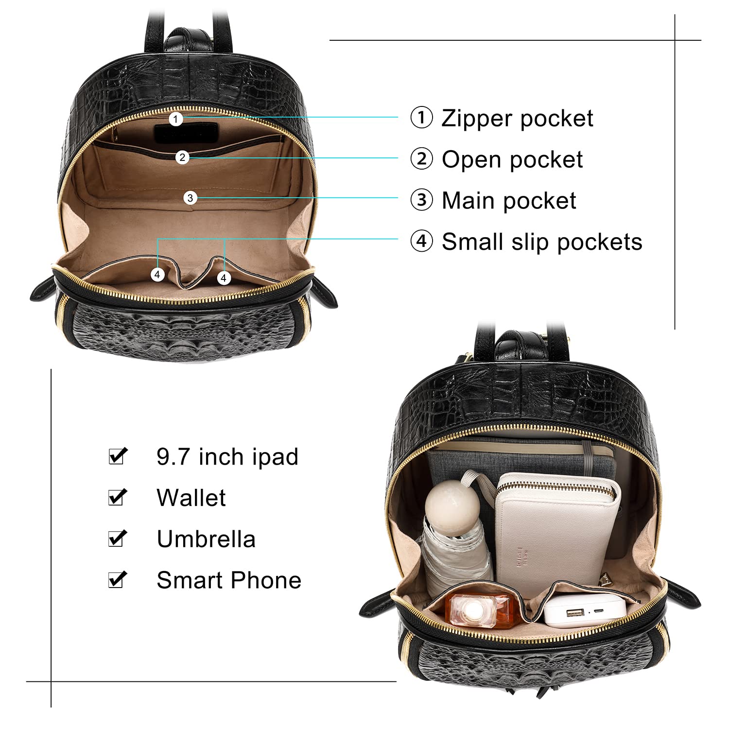 Stylish COOLCY Small Crocodile Leather Backpack Purse for Women - Designer Fashion Handbag (Black) | Perfect for Work, Travel & Daily Use