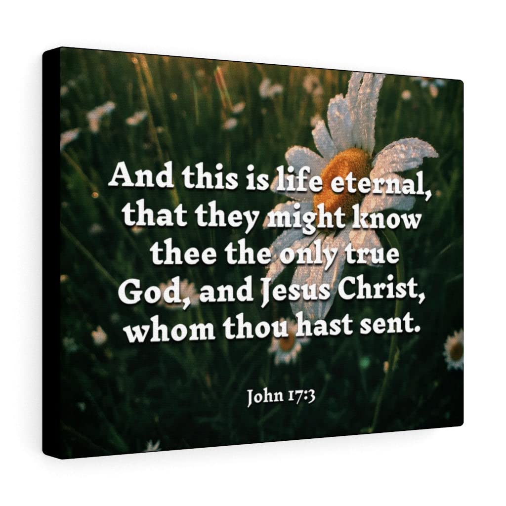 John 17:3 Bible Verse Wall Art - Ready to Hang Christian Scripture Print for Home Decor - Perfect for Living Room, Bedroom & Church Gifts