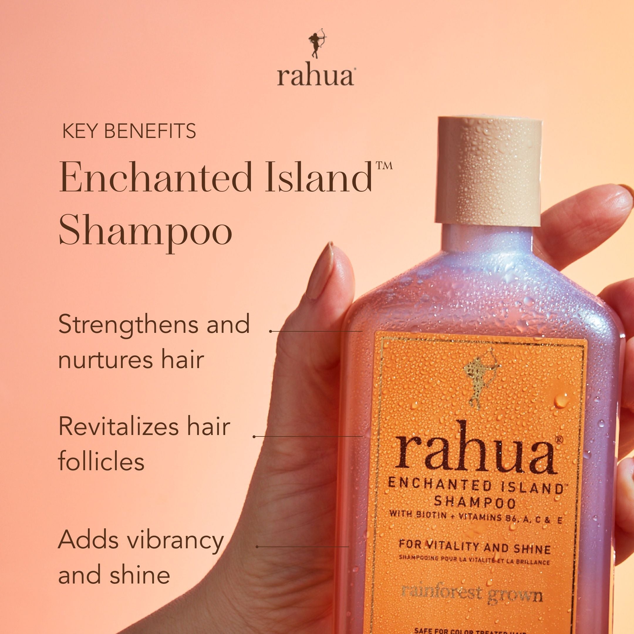 Enchanted Island Shampoo for Hair Growth & Repair - Natural Coconut & Argan Oil Formula - Sulfate-Free & Paraben-Free - For Dry, Damaged Hair - Perfect for Daily Use & Salon Results at Home