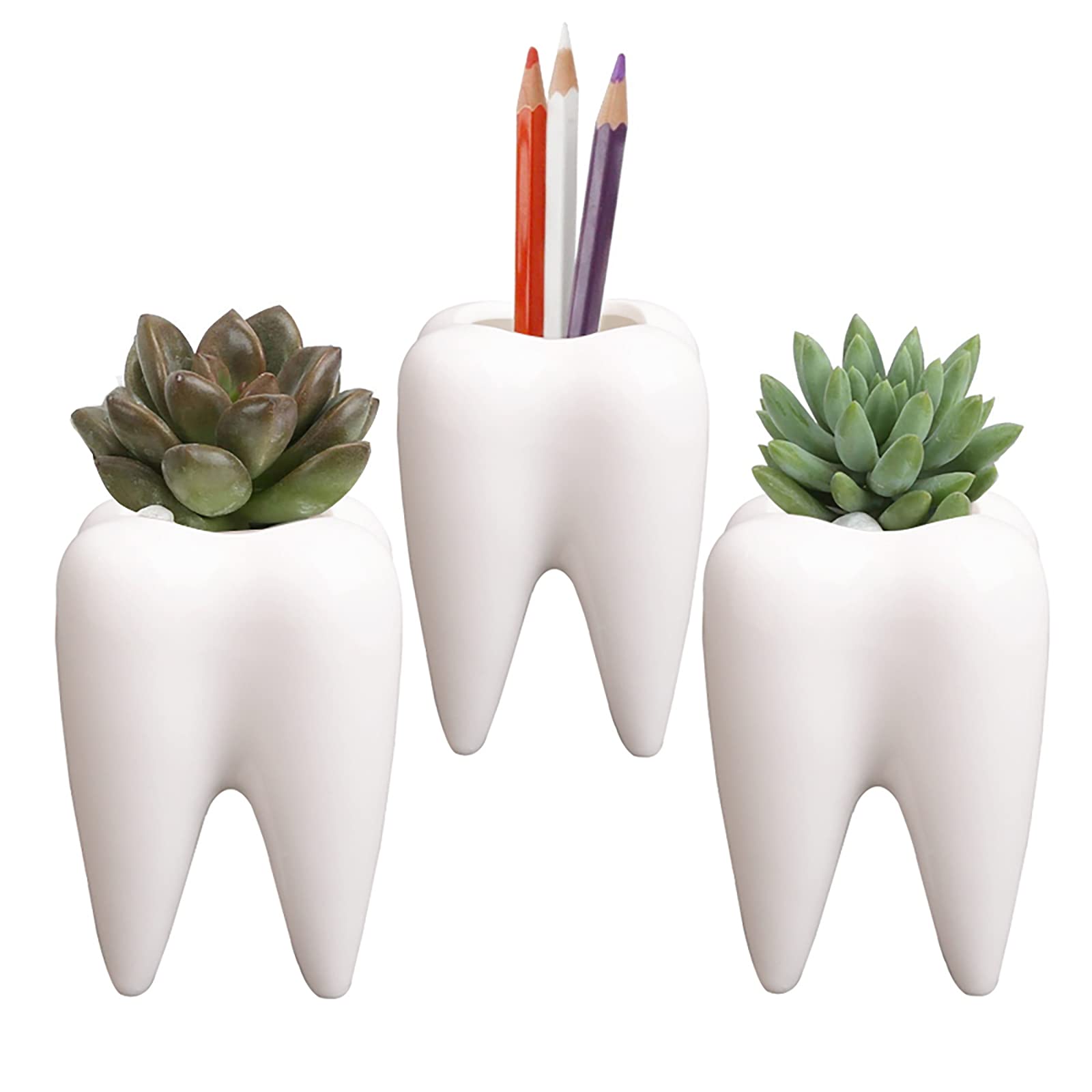 Cute Tooth-Shaped White Ceramic Succulent Planter - Small Cactus Pot & Flower Vase for Home Decor, Creative Pen/Pencil Holder for Office Desk - Perfect for Windowsills, Shelves & Gift Giving (Plants Not Included)