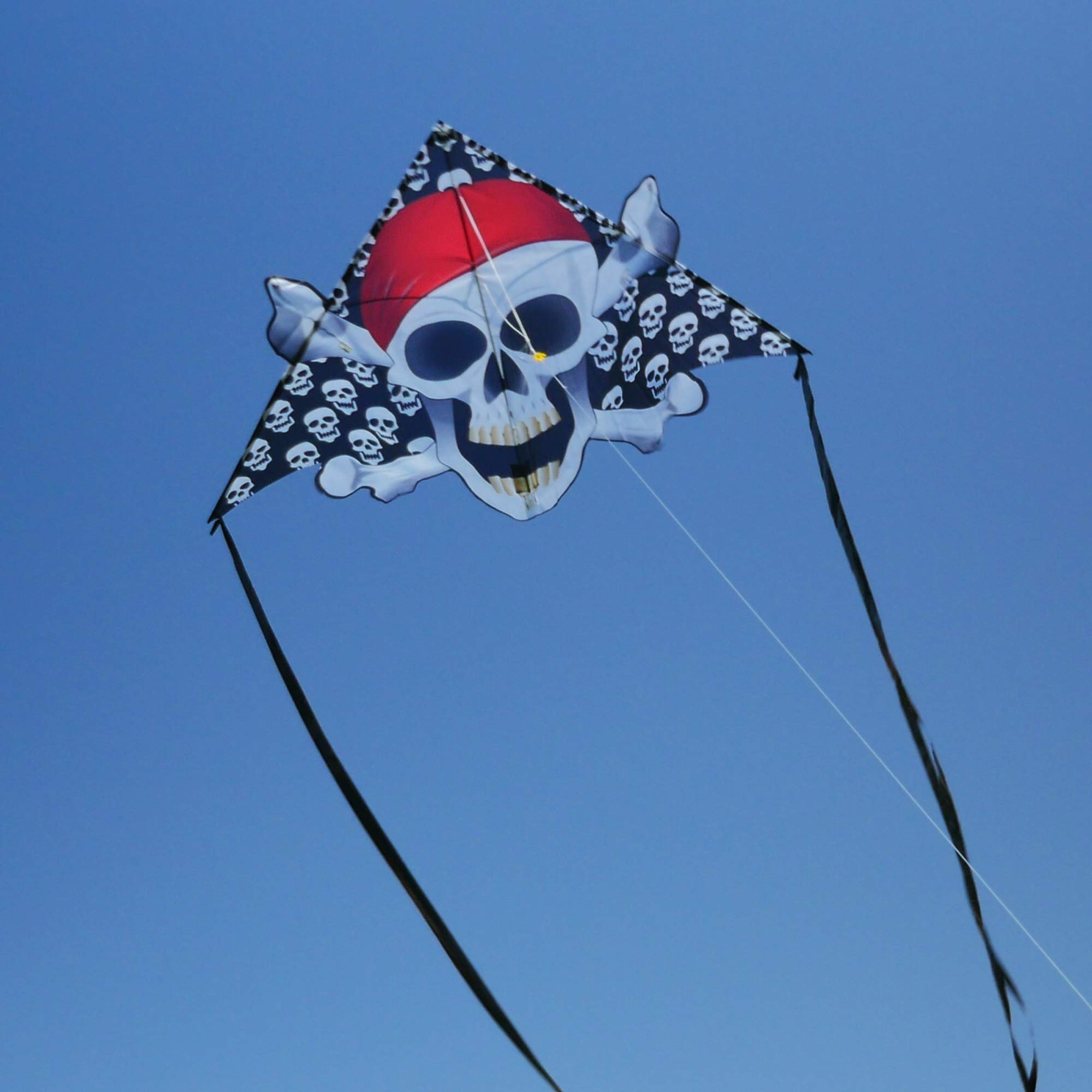 WindNSun Delta XT Nylon Kite - Skull & Bones Design, 54 Inch Wide for Outdoor Beach & Park Flying