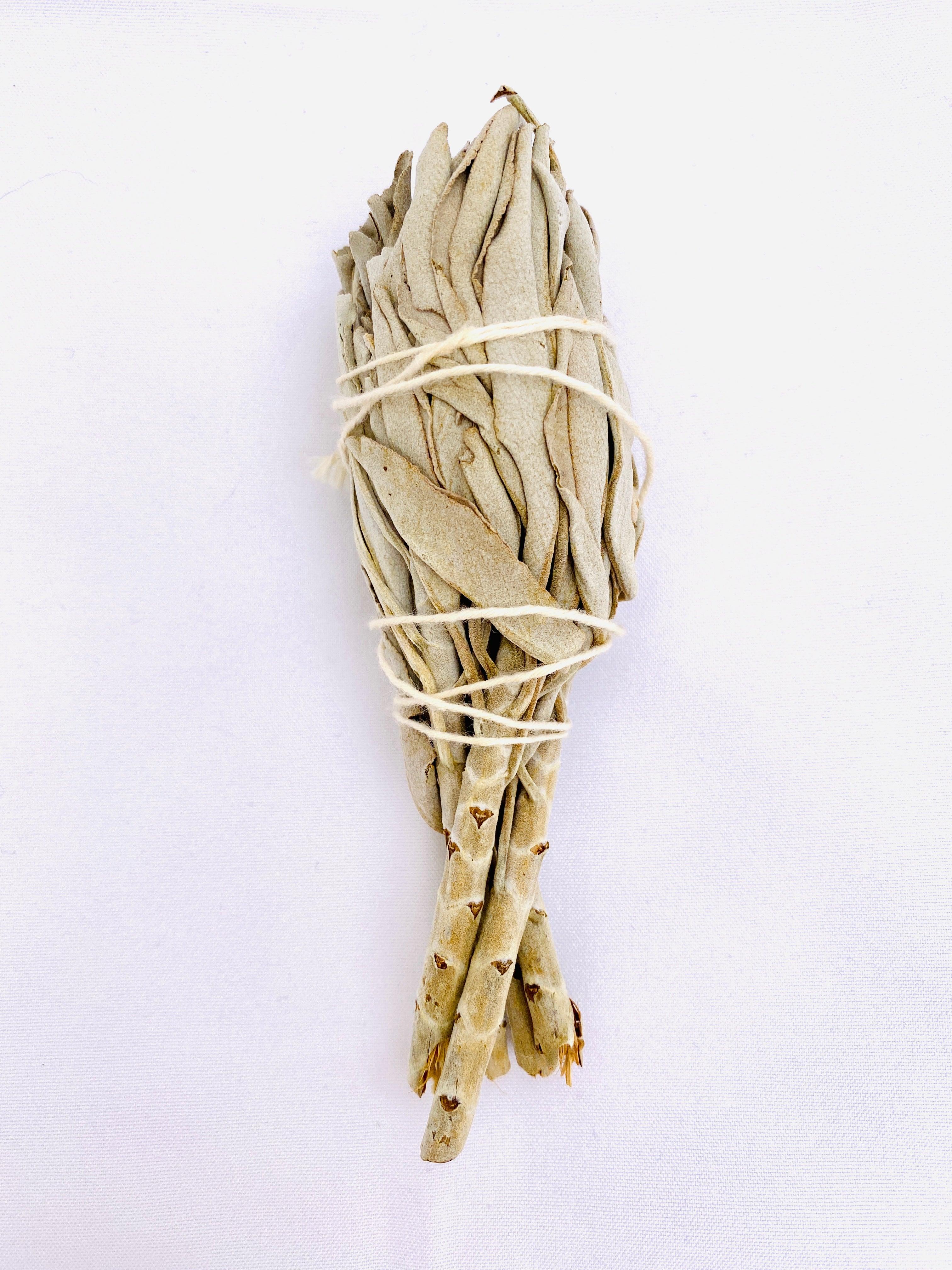 Authentic Californian White Sage Smudge Sticks for Cleansing & Purification - Spiritual Cleansing, Meditation & Home Blessing Rituals