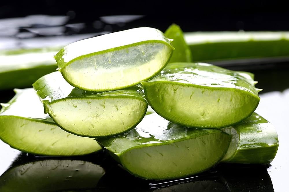Natural Aloe Vera Shampoo for Hair Growth & Scalp Care - Hydrating & Soothing Shampoo for Dry, Damaged Hair - Perfect for Daily Use & Sensitive Scalp