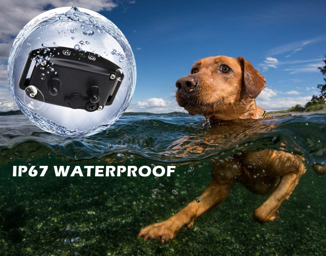 Rechargeable No Shock Bark Collar for Dogs - Humane Anti-Barking Training Device with Smart Chip, IP67 Waterproof, Adjustable for Small, Medium & Large Dogs - Perfect for Home, Travel & Outdoor Use