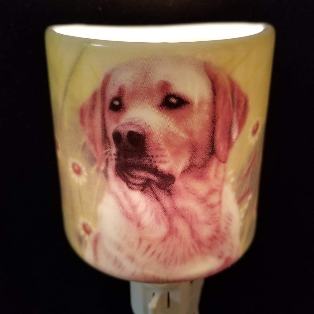 LED Night Light for Dogs - Soothing Pet Light for Bedroom, Crate & Kennel - Calming Sleep Aid for Anxious Puppies & Senior Dogs