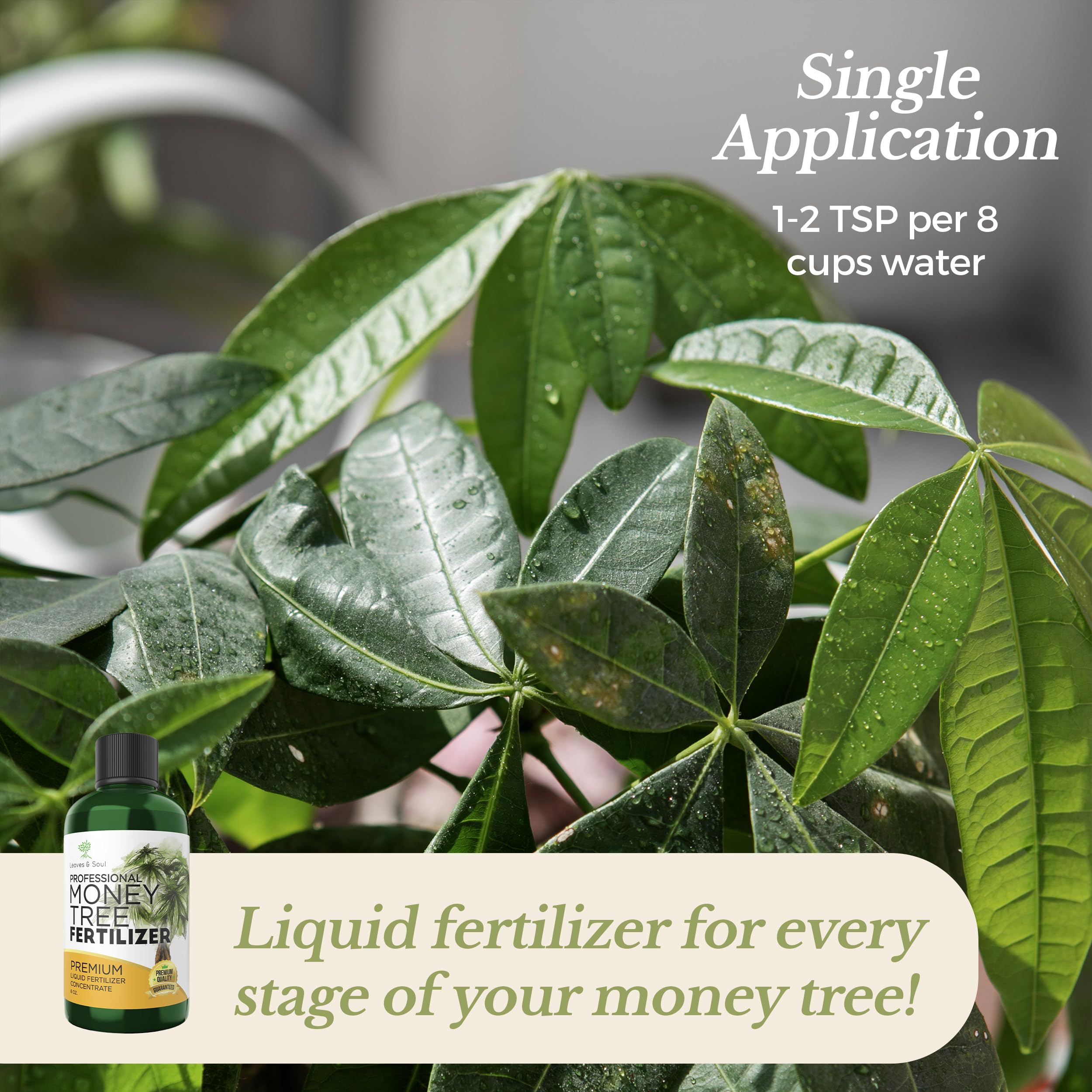Premium Liquid Money Tree Fertilizer 3-1-2 Concentrate - All-Purpose Plant Food for Indoor & Outdoor Plants, Flowers, Trees - 8oz Bottle Gardening Supplies - Perfect for Home, Office, and Garden Use