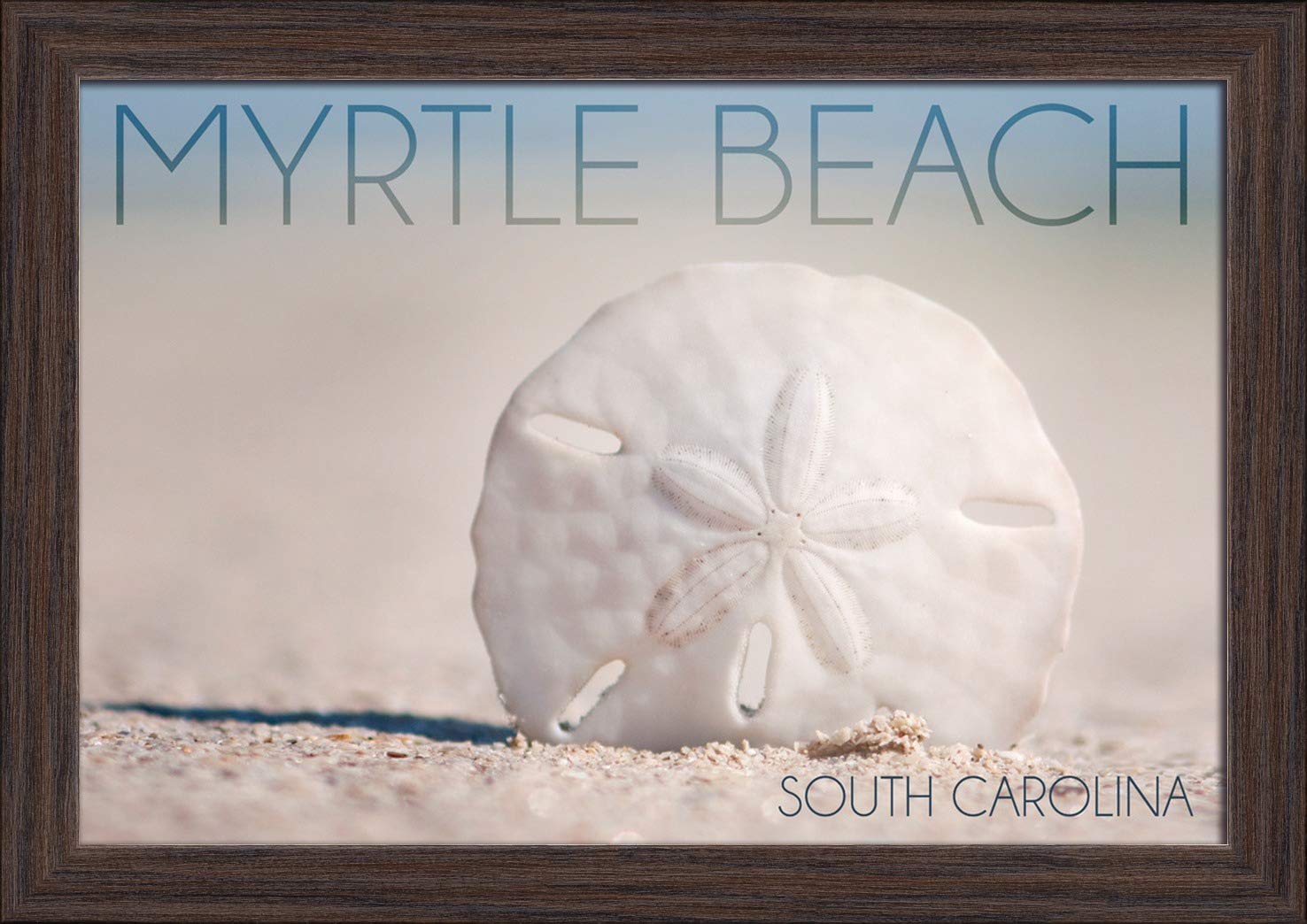 Myrtle Beach South Carolina Sand Dollar & Beach Wall Art - 12x18 Inch Giclee Fine Art Print in Recycled Wood Frame (Espresso Brown) - Perfect for Coastal Decor, Beach House Living Room & Office Wall Decor