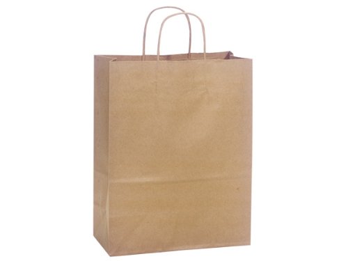 Eco-Friendly 100% Recycled Paper Bags Bulk Pack - 10