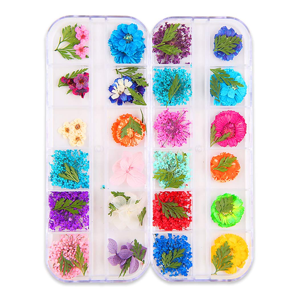 SOWUNO 1 Box Nail Art Decorations Kit - DIY Dried Flower Nail Art Supplies for Manicure, Gel Polish, Acrylic Nails - Perfect for Home Salon, Nail Parties & Professional Nail Artists