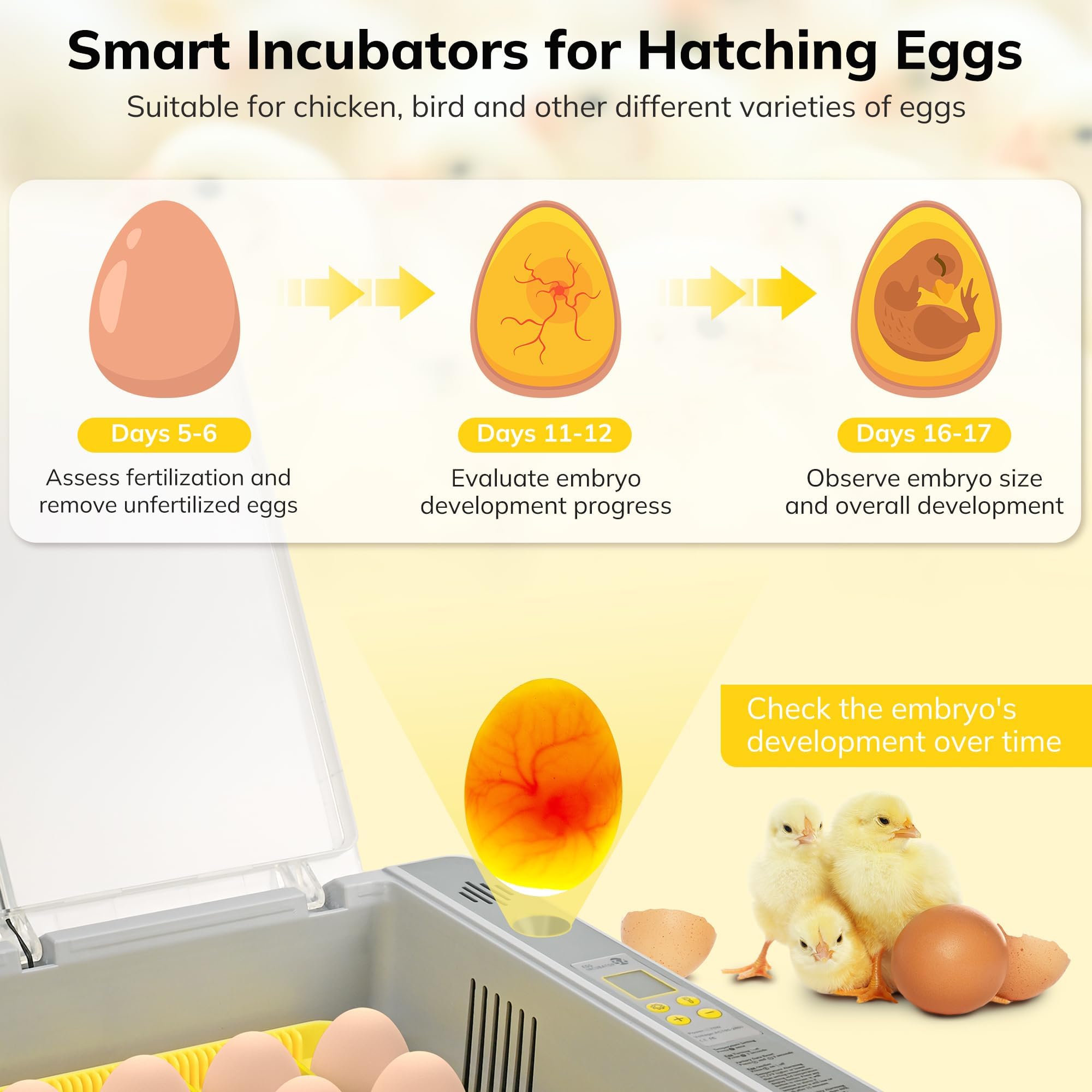 Automatic Egg Incubator 36-60 Eggs with Digital Display, 360° View & Humidity Control - Perfect for Hatching Chicken, Duck, Quail Eggs - Ideal for Home Poultry Farming, Classroom Projects & Backyard Chicken Coops